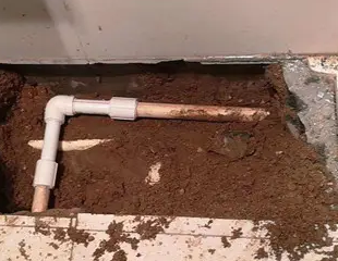 沅江测漏水哪家好