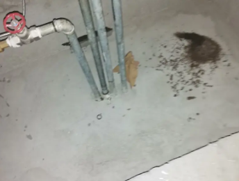 沅江卫生间测漏水价格明细