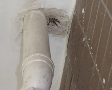 沅江漏水检测哪家好